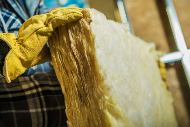 Best Eco-Friendly Insulation in Elkton, VA
