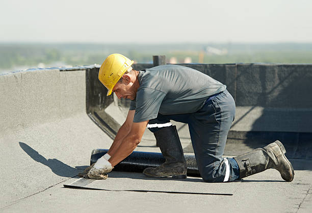 Best Commercial Insulation in Elkton, VA