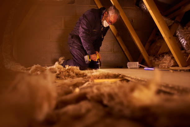 Best Residential Insulation in Elkton, VA