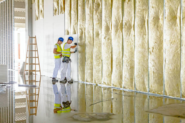 Types of Insulation We Offer in Elkton, VA